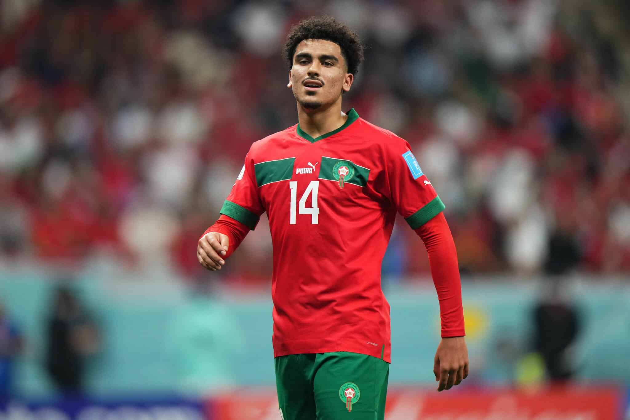 رسميا أبوخلال يغيب عن الأسود في كأس إفريقيا